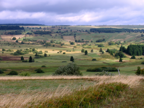 Offene Graslandschaft mit vielfältigen Strukturen wie Hecken, Wäldern und Einzelbäumen