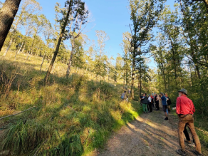 In der rechten Bildhälfte ein Waldweg, auf dem mehrere Personen stehen, sie blicken nach links, dort erstreckt sich einen Hang hinauf ein lichter Wald.