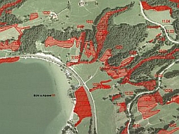 Ausschnitt aus einem Farbluftbild mit digitalen Biotopeinträgen