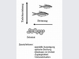 Wichtige Parameter von Laichplätzen