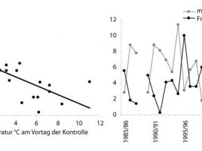 Grafik zur starken Temperaturabhängigkeit der in Winterquartieren sichtbaren Individuenzahlen: Bei warmer Witterung halten sich viele Tiere außerhalb der kontrollierten Winterquartiere auf/Grafik: Koordinationsstellen für Fledermausschutz, 2010