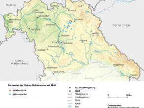 Zu sehen ist eine Karte Nordbayern mit ca. 20 türkisen Punkten, die für Winterquartiere stehen und 4 Punkten, die für Wochenstuben stehen. Diese konzentrieren sich auf die Frankenalb, sind aber auch im Bereich des Frankenwaldes zu sehen.