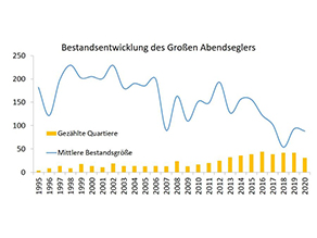 Ein kombiniertes Diagramm zeigt die Anzahl der jährlich gezählten Quartiere des Großen Abendseglers in Form gelber Balken sowie die mittlere Bestandsgröße pro Quartier in Form einer blauen Linie. Obwohl die Anzahl registrierter Quartiere zwischen 2015 und 2019 auf einem konstant hohen Niveau von ca. 40 Quartieren war, fällt die Bestandskurve in diesem Zeitraum stark ab. Die mittlere Bestandsgröße liegt am Ende der Zeitreihe unter 100 Tieren pro kontrolliertem Quartier, um das Jahr 2000 lag diese noch bei über 200.