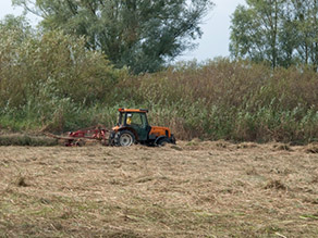 Traktor mit Heuwender