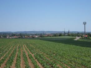 Ackerausschnitt mit Siedlung, Hochspannungsleitung, Mobilfunkmasten und Straße im Hintergrund