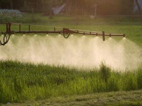Maschinelle Pestizidausbringung in einem Feld