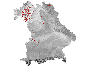 Bayernkarte: Hauptverbreitungsschwerpunkt ist in Unterfranken im Naturraum Mainfränkische Platten mit vielen Vorkommen, weitere kleinere Verbreitungsschwerpunkte im nordwestlichen Oberfranken, im Donautal bei Dillingen und im Lechtal bei Augsburg; vereinzelte Vorkommen im westlichen Unterfranken, in Mittelfranken und südlich von Augsburg