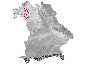 Bayernkarte: Verbreitungsschwerpunkt ist in Unterfranken im Naturraum Mainfränkische Platten, je zwei Einzelvorkommen im nordwestlichen Oberfranken und im westlichen Unterfranken