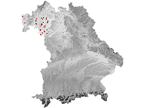Bayernkarte: Mehrere Vorkommen in Unterfranken im Naturraum Mainfränkische Platten und zwei Einzelvorkommen im westlichen Unterfranken