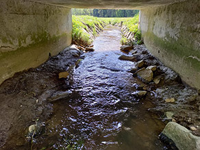Ein kleiner Bach mit beidseitig trockenden Uferbereichen fließt unter einer Betonbrücke hindurch. 