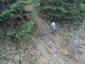 Wildkamera im Gras vor Nadelbäumen installiert