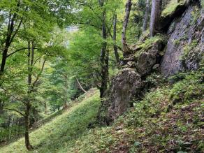 Felsen mit Laubbäumen rundherum im steilen Waldgelände