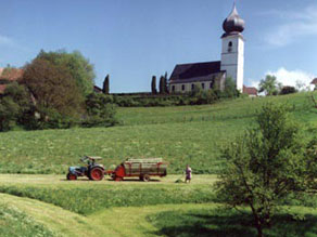 Traktor mit Heu-Ladewagen auf einer gemähten Wiese