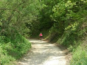 Radfahrer auf Feldweg