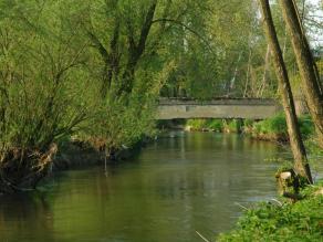 Bachlauf mit begleitendem Ufergehölz Bachlauf mit begleitendem Ufergehölz