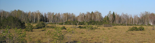 Moorfläche um Penzberg