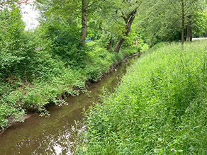 Der Säubach im Schloßbichlpark.