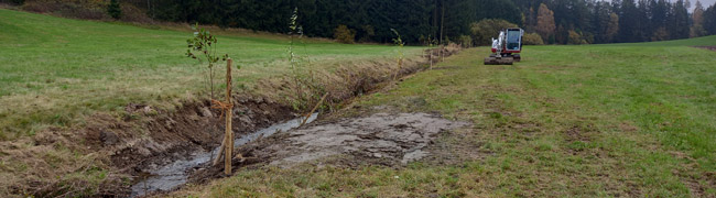 Die im Rahmen der Startmaßnahme an der Dietscha gepflanzten Gehölze.