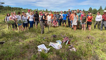 Menschgruppe steht auf einer Moorfläche, im Hintergrund Wald  Menschgruppe steht auf einer Moorfläche, im Hintergrund Wald