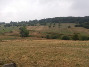 Wiesen, Sträucher und bewaldete Hügel im Hintergrund.