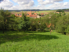 Streuobstwiesen