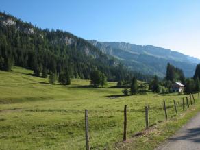 Alpenlandschaft aus dem Allgäu