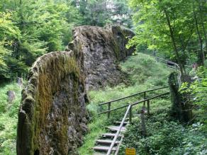 'Wachsende Fels von Usterling' im Landkreis Dingolfing-Landau ist eine aus Kalksinter aufgebaute mit wasserüberströmten Moos bedeckte Wand von 35 m Länge und fast 5,5 m Höhe. Das kalkreiche Wasser fließt in einem schmalen Rinnsal am oberen Ende der Wand und bildet dabei die Kalkformation aus, so dass der Felsen immer größere Dimensionen bekommt.