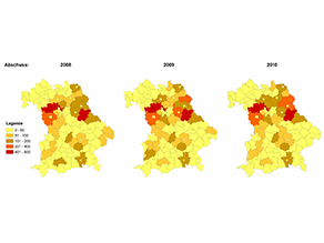 Bayernkarte für die Jahre 2008, 2009 und 2010 mit Anzahl von geschossenen Graureihern je Landkreis. Die Darstellung erfolgt in fünf Größenklassen: 0 bis 50 Abschüsse, 51 bis 100, 101 bis 200, 201 bis 400, 401 bis 800. In allen drei Jahren wurden in drei Landkreisen – Neustadt an der Aisch-Bad Windsheim, Erlangen-Höchstadt und Schwandorf über – 401 Graureiher geschossen. Auch in allen drei Jahren erfolgte im Landkreis Ansbach ein Abschuss zwischen 201 und 400 Tiere, im Landkreis Tirschenreuth in den Jahren 2009 und 2010, im Landkreis Amberg-Sulzbach 2009 (2010 sank der Abschuss wieder unter 200 Reiher) und im Landkreis Neustadt an der Waldnaab erfolgte erstmals 2010 ein Abschuss über 200 Tiere, die beiden Jahre vorher lagen die Abschusszahlen unter 200 Graureihern