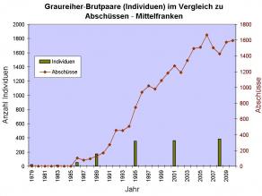 Säulendiagramm zur Anzahl der Individuen in insgesamt sieben Jahren in Mittelfranken. Zugleich wird durch eine lineare Darstellung die Anzahl der jährlichen Abschüsse dargestellt: Die Daten im Einzelnen: 1979: 22 Individuen, Abschüsse 0, 1983: 16 Ind., Abschüsse 0, 1966: 52 Ind., Abschüsse 106, 1989: 174 Ind., Abschüsse 133, 1995: 352 Ind., Abschüsse 745, 2001: 362 Ind., Abschüsse 1.274, 2008: 382 Ind., Abschüsse 1.426