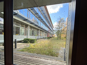 Blick durch ein Fenster nach außen in einen Hof. Das Fenster ist mit kleinen aufgebrachten Punkten bedeckt.