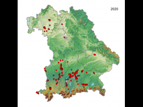 Bayernkarte mit Verbreitungsgebieten der Saatkrähen: vorwiegend in Süd- und Südestbayern, aber auch im Gebiet des Main-Dreiecks.