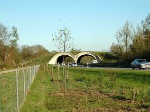 Grünbrücke Stettenhofen