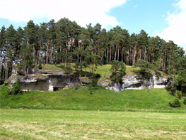 Kalkmagerrasen und Felsheiden am Schwalbenstein