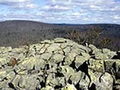 Mit dem Gütesiegel 'Bayerns Schönste Geotope' ausgezeichnet: Das Blockmeer am Gipfel des Lusen im Nationalpark Bayerischer Wald