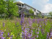 PM 10/2018:  Insektenhotel XXL auf dem Betriebsgelände 