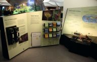 Sonderausstellung Sonderausstellung