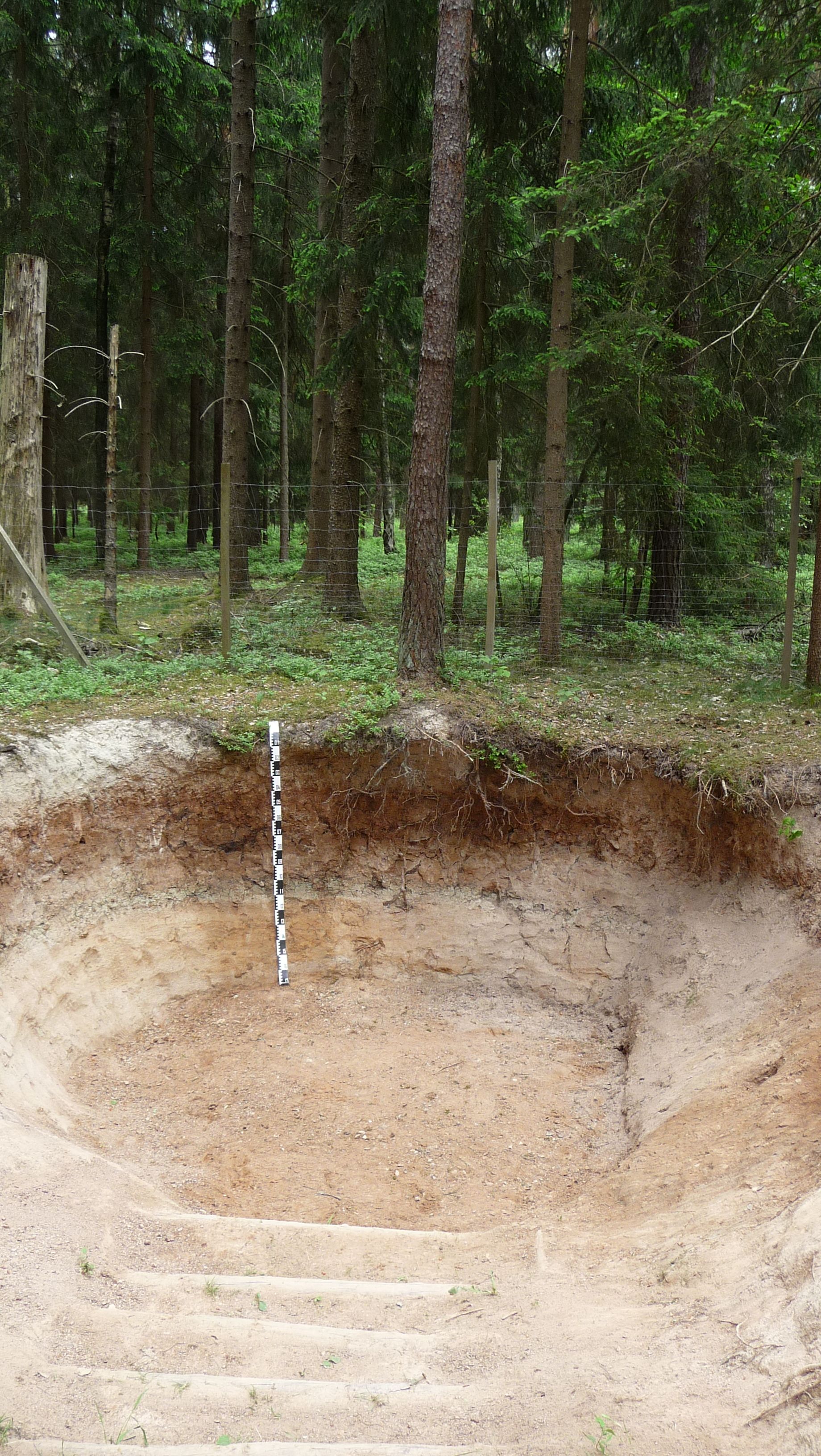 Begehbare Bodengrube am Leitelshofer Weg im Schulwald gewährt Einblick in die Beschaffenheit des Waldbodens bzw. Aufbau des Bodenprofils. (Quelle: Bayerisches Landesamt für Umwelt) Begehbare Bodengrube am Leitelshofer Weg im Schulwald gewährt Einblick in die Beschaffenheit des Waldbodens bzw. Aufbau des Bodenprofils.