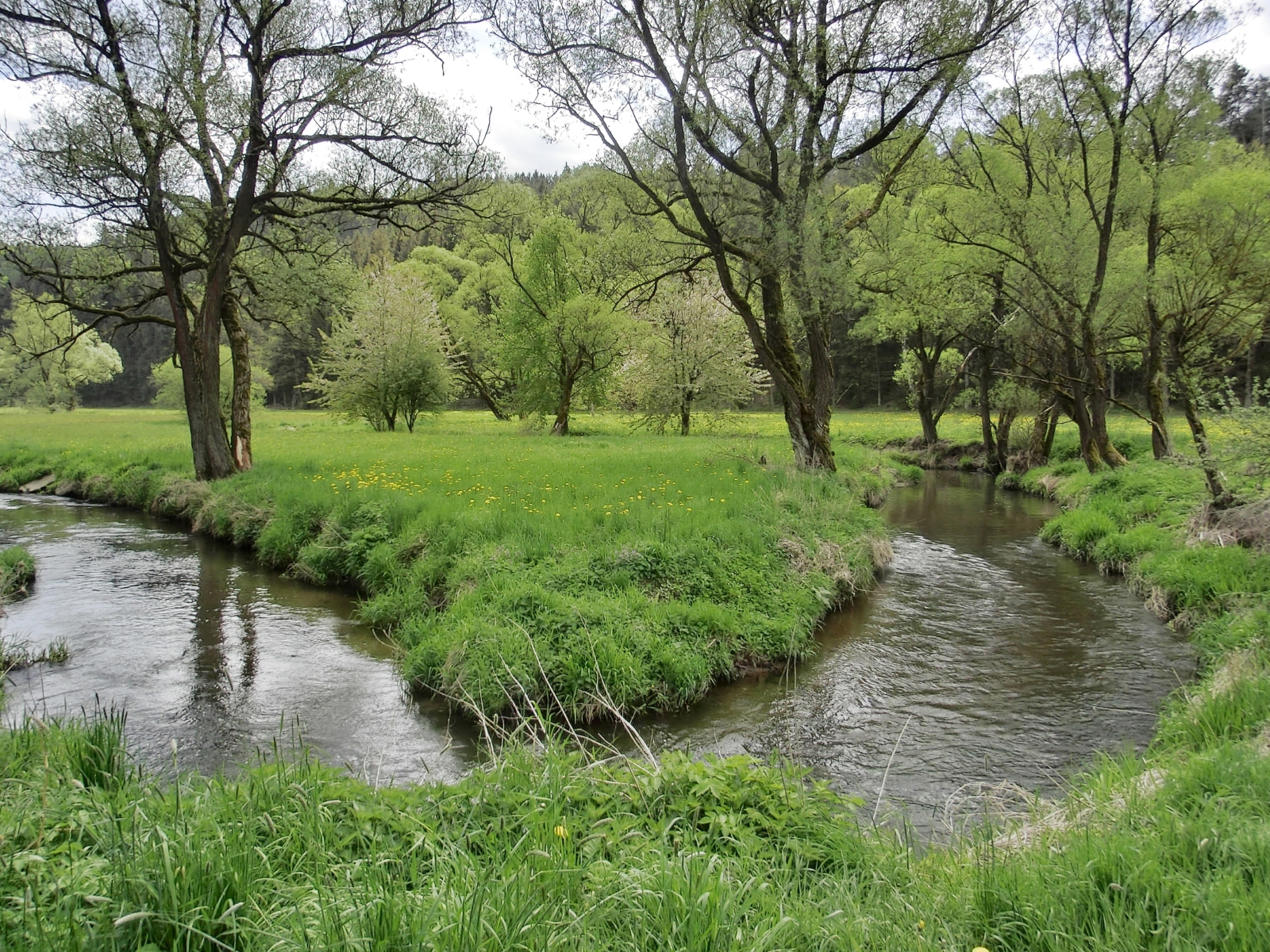  Naturnaher Fließgewässerabschnitt der Luhe bei Leuchtenberg