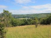 PM 34/2020:  Vom Naturschutzgebiet Bromberg-Rosengarten aus lässt sich fast die ganze Stadt Würzburg mit den angrenzenden Weinbergen überblicken. 