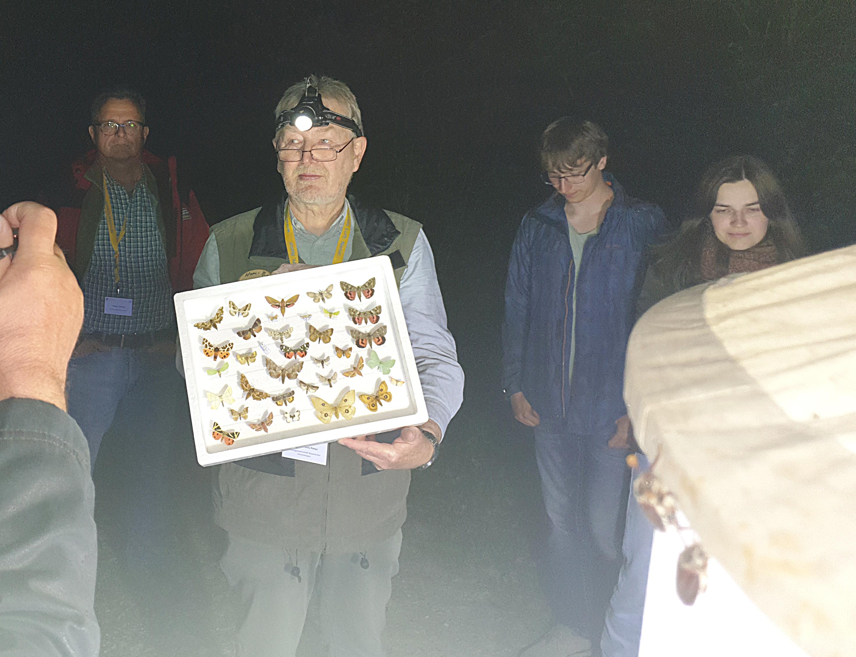Hans-Peter Schreier von der Arbeitsgemeinschaft Bayerischer Entomologen demonstriert die Vielfalt von Nachtfaltern beim Lichtfang