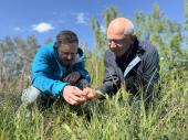 PM 23/2025:  Dr. Manfred Ludwig (Bund Naturschutz) und Marcel Ruff (Bayerisches Artenschutzzentrum im Landesamt für Umwelt) zeigen eine Blüte des Duftenden Mariengrases 