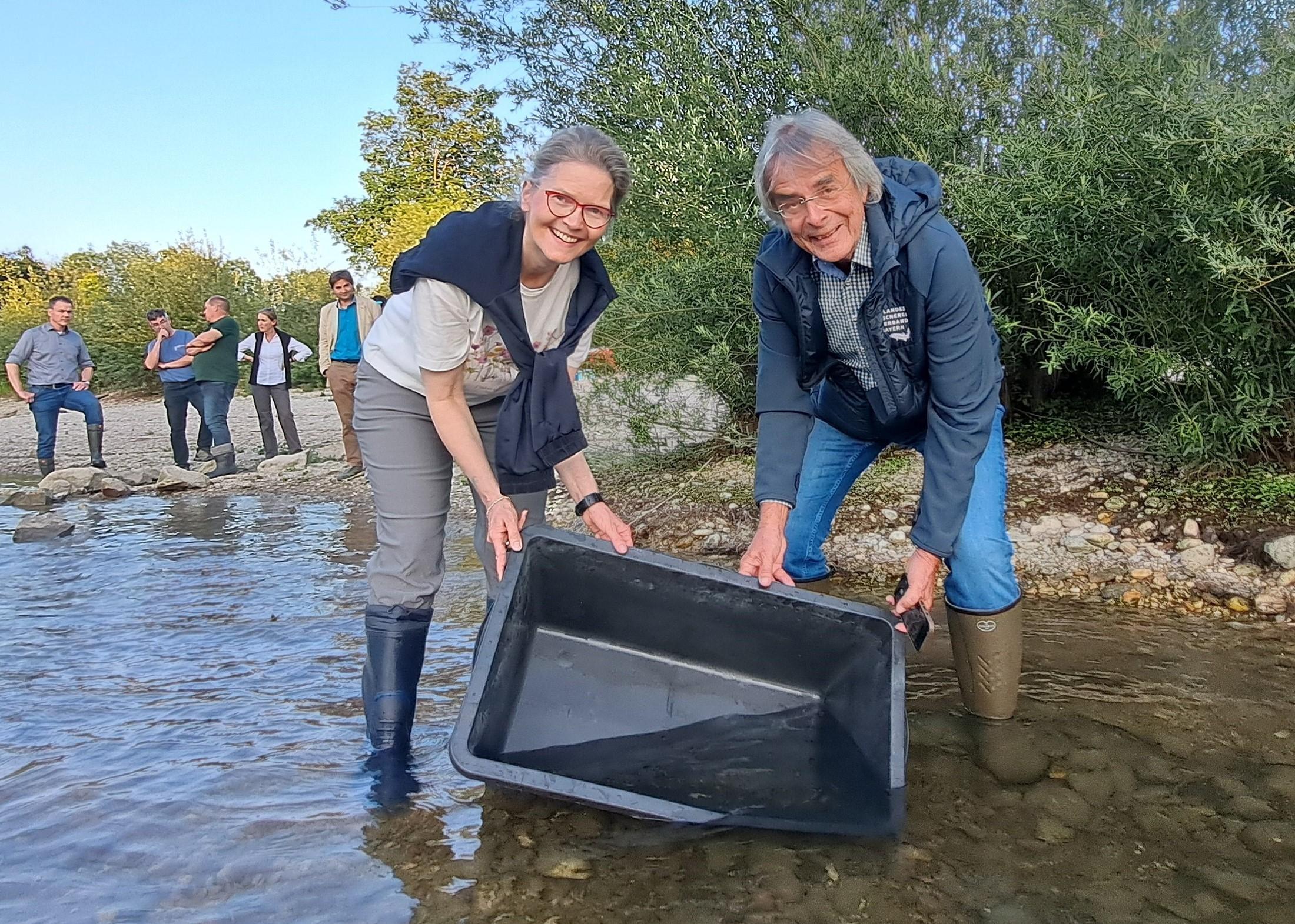 Besatz von Strebern in Landau in der Isar durch Frau Dr. Kratzer (Präsidentin des LfU) und Herr Bartelt (Präsident des LFV Bayern e.V.) Besatz von Strebern in Landau in der Isar durch Frau Dr. Kratzer (Präsidentin des LfU) und Herr Bartelt (Präsident des LFV Bayern e.V.)