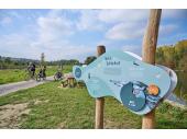 PM 26/2025:  Wilde Schönheit der renaturierten Isar bei Landau 