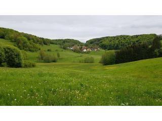Strukturreiche Landschaft mit Gehölzen und artenreichen Wiesen bei Lichtenau