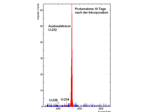 Grafische Darstellung des Messergebnisses