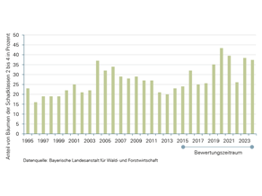 Entwicklung des Anteils von Waldbäumen der Schadstufen 2 bis 4 an begutachteten Waldbäumen seit 1995; zwischen 2014 und 2023 hat sich der Zustand der Baumkronen insgesamt deutlich verschlechtert, der Zustand schwankt zwischen den einzelnen Jahren zum Teil stark. Aktuell liegt der Anteil der Waldbäume in diesen Schadstufen bei rund 38 Prozent, 2013 waren es nur rund 20 Prozent.