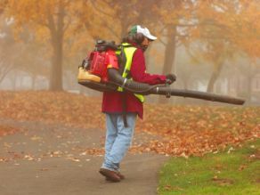 Ein Mann beseitigt in einem Park Blätter mit einem Laubbläser