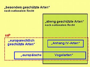 Grafik der Zusammenhänge der 'besonders geschützten Arten' und der 'streng geschützten Arten' aus bayerischer Sicht.)