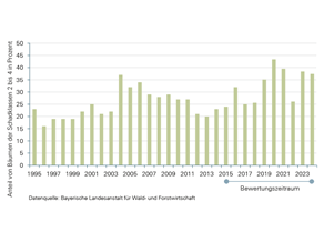 Entwicklung des Anteils von Waldbäumen der Schadstufen 2 bis 4 an begutachteten Waldbäumen seit 1995; zwischen 2015 und 2024 hat sich der Zustand der Baumkronen insgesamt deutlich verschlechtert, der Zustand schwankt zwischen den einzelnen Jahren zum Teil stark. Aktuell liegt der Anteil der Waldbäume in diesen Schadstufen bei rund 37 Prozent, 2013 waren es nur rund 20 Prozent.