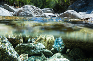 Blick in ein Gewässer.